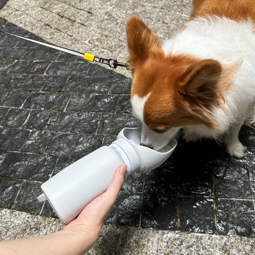 Portable Collapsible Pet Water Bottle by Milou & Lumi
